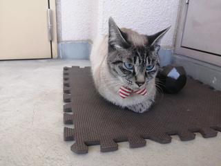 IMG_20210407_122043.jpg
